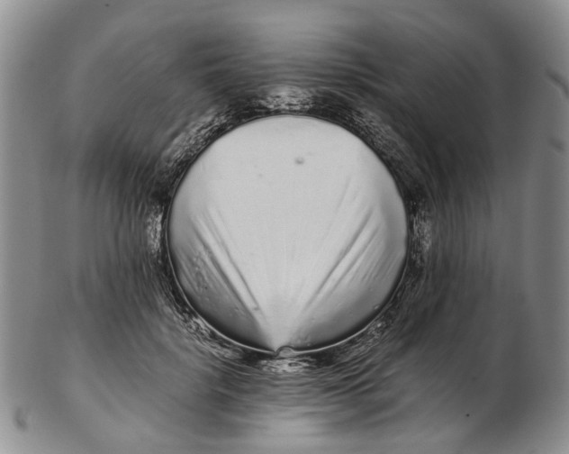 X0000102800652200809081113