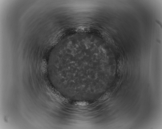 X0000102800659200809081113