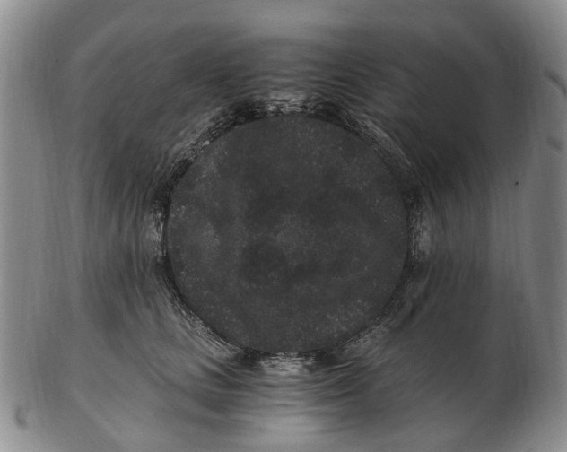 X0000102800661200809081113