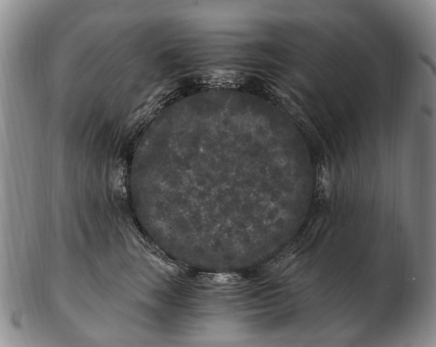 X0000102800663200809081113