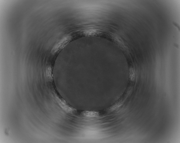 X0000102800670200809081113