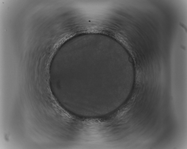 X0000102800673200809081112