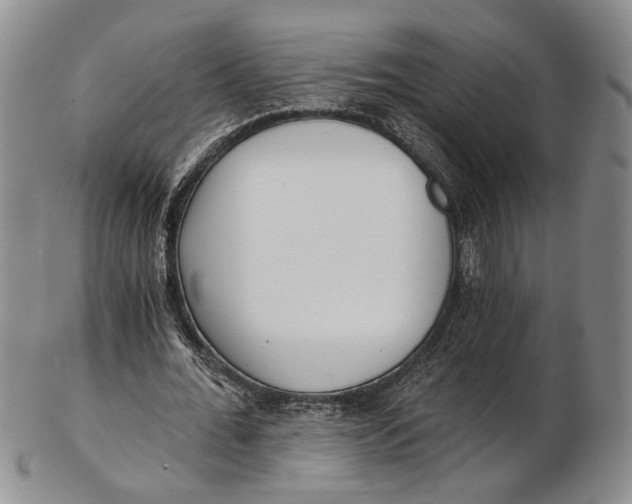 X0000102800676200809081112