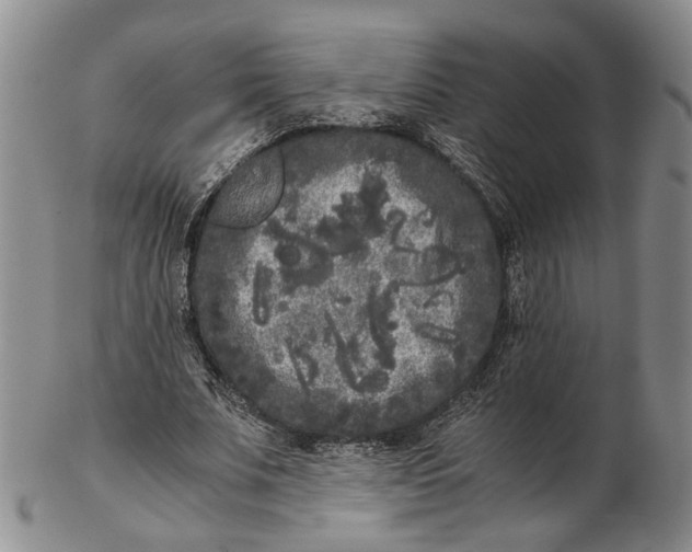 X0000102800679200809081112