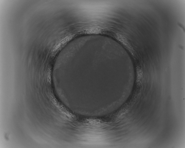 X0000102800681200809081112