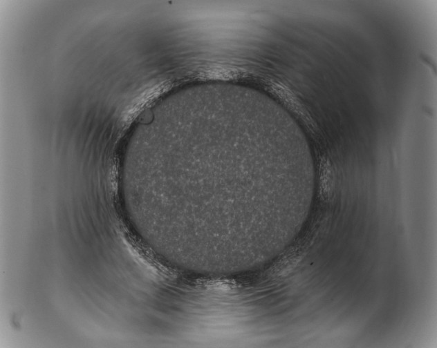 X0000102800683200809081112