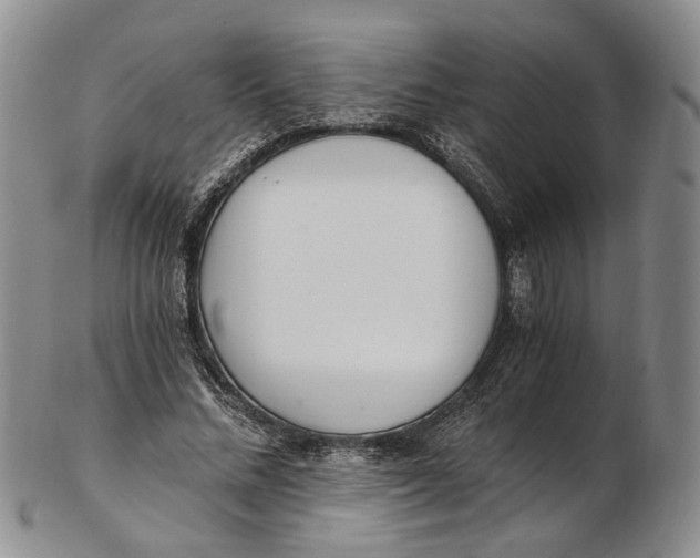 X0000102800684200809081112