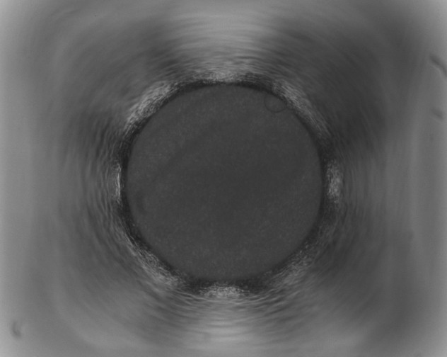 X0000102800685200809081112