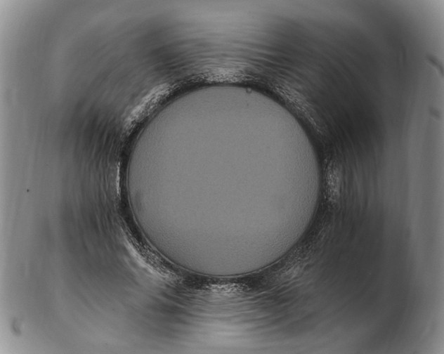 X0000102800686200809081112