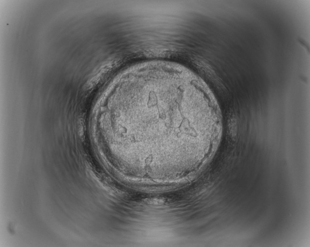 X0000102800687200809081112