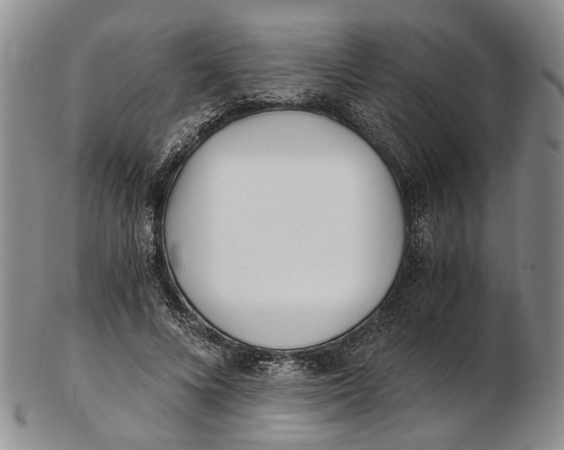 X0000102800688200809081112