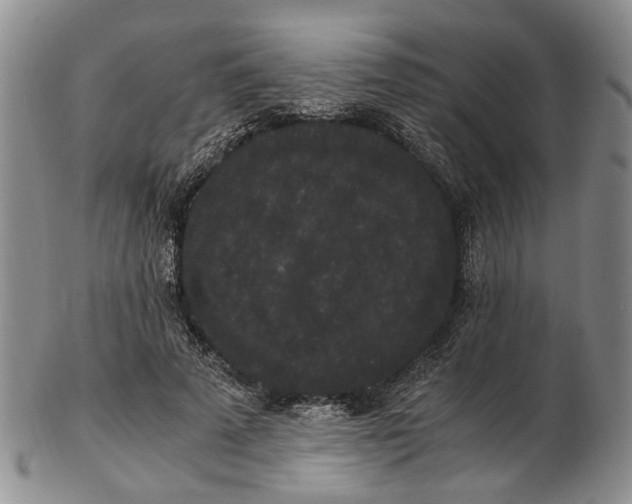 X0000102800689200809081112