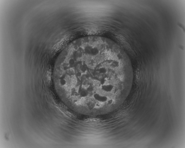 X0000102800691200809081112