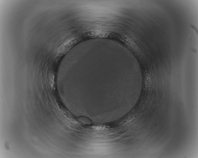 X0000102800693200809081112