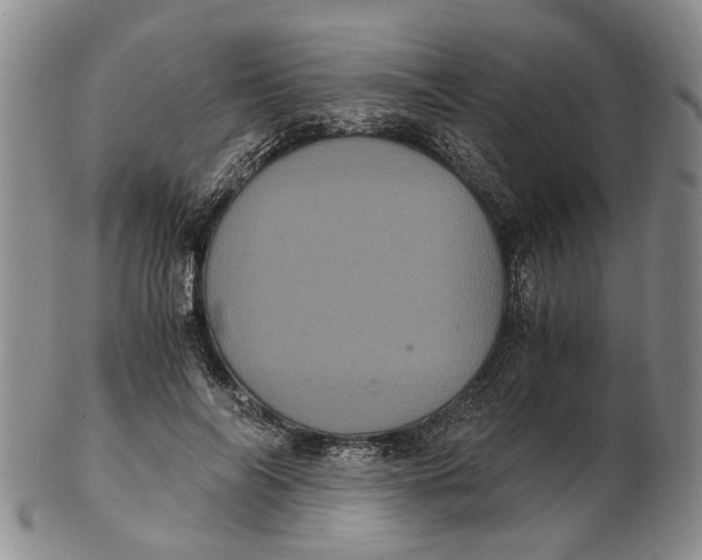 X0000102800694200809081112