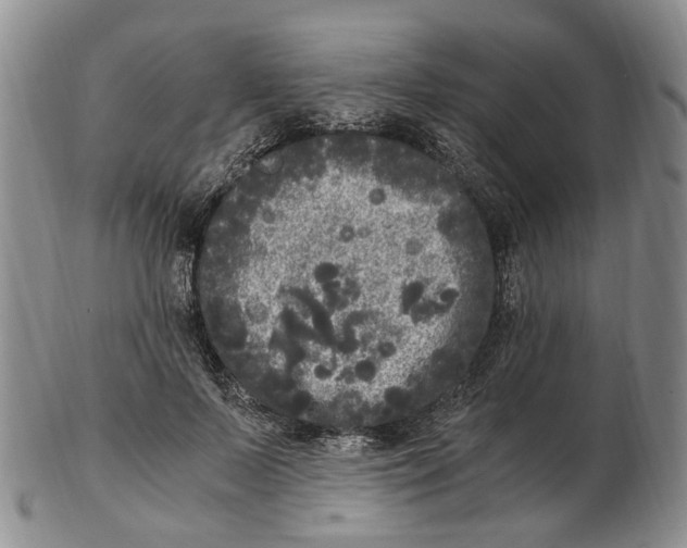 X0000102800695200809081112