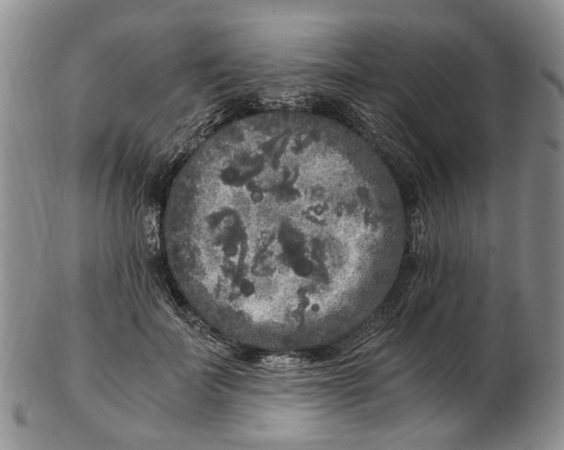 X0000102800699200809081112