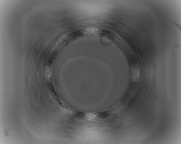 X0000102800701200809081112