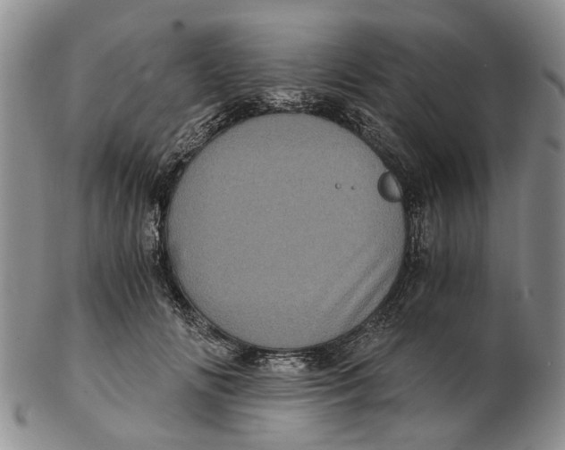 X0000102800702200809081112