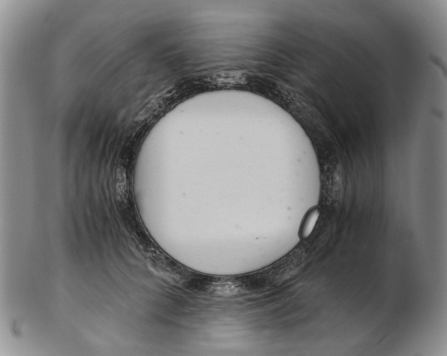 X0000102800704200809081112