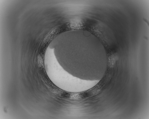 X0000102800705200809081112