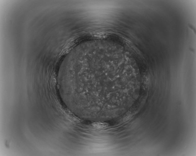 X0000102800707200809081112