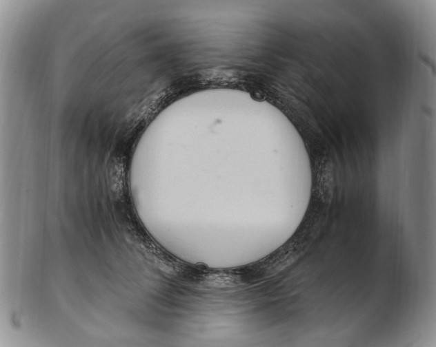 X0000102800708200809081112