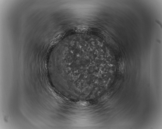 X0000102800711200809081112