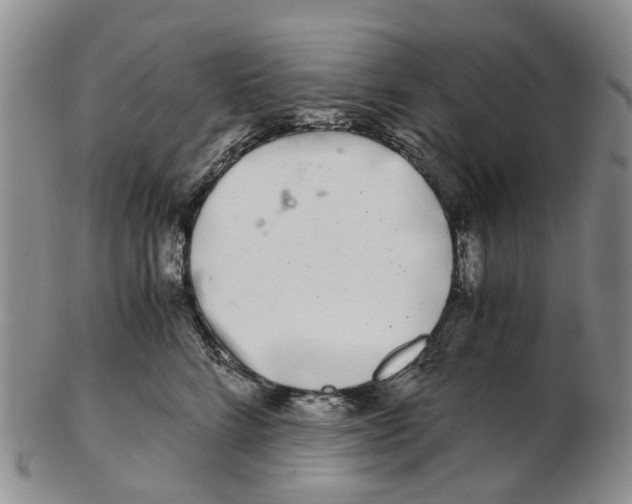 X0000102800712200809081112