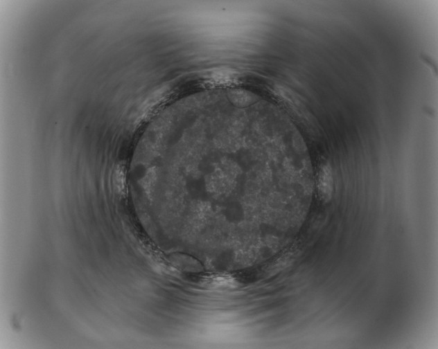 X0000102800715200809081112