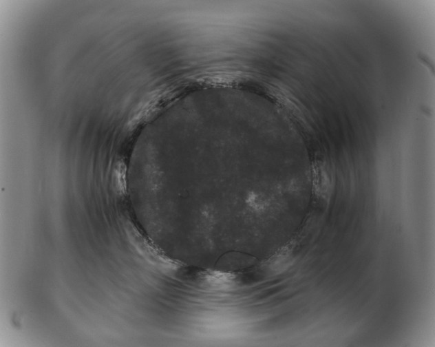 X0000102800718200809081112