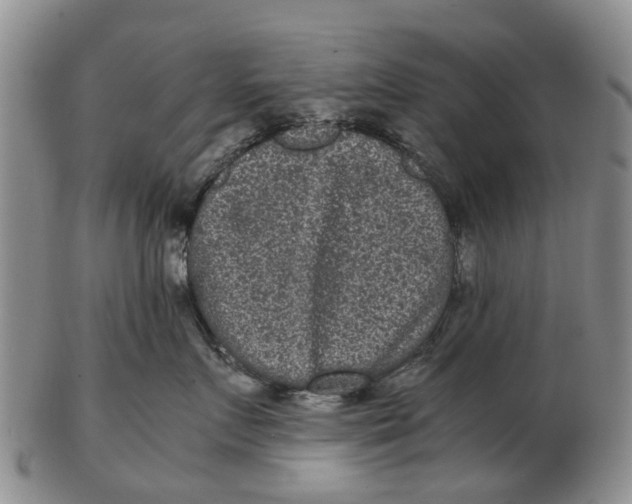 X0000102800719200809081112