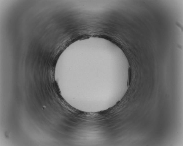 X0000102800720200809081112