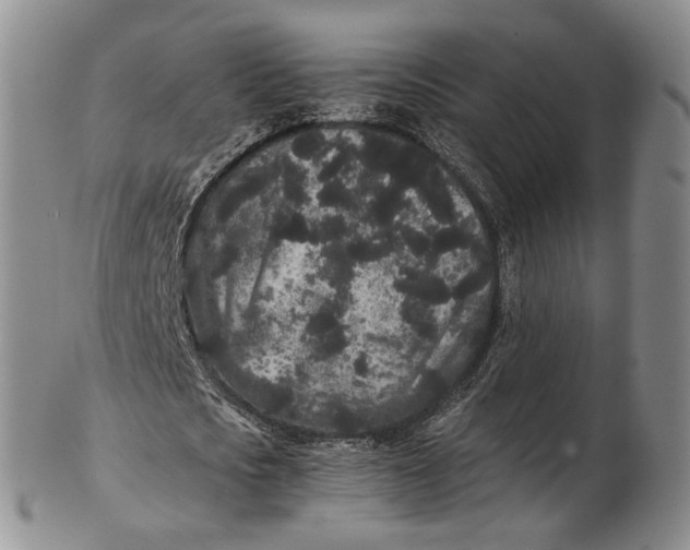 X0000102800721200809081111