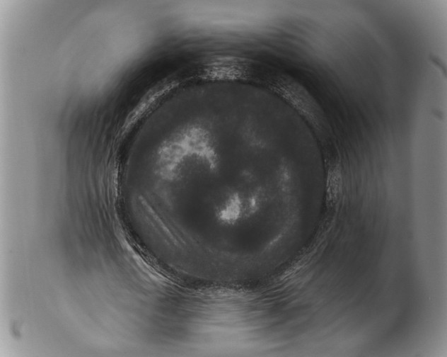 X0000102800722200809081111