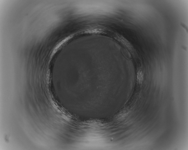 X0000102800724200809081111