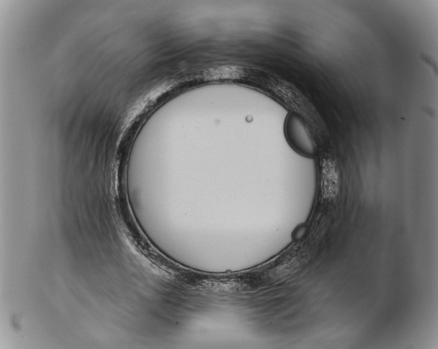 X0000102800726200809081111