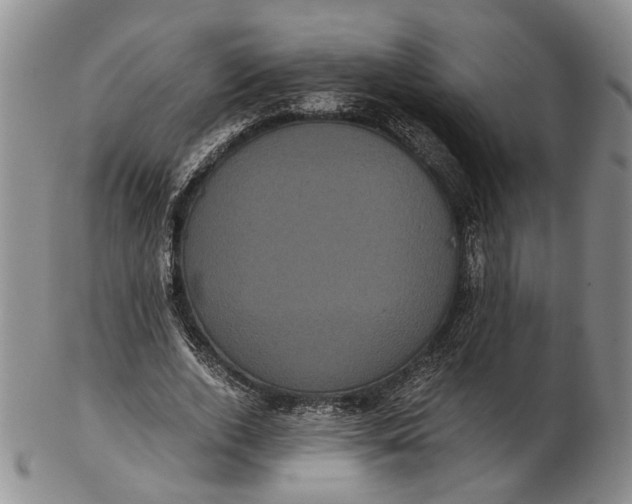 X0000102800728200809081111