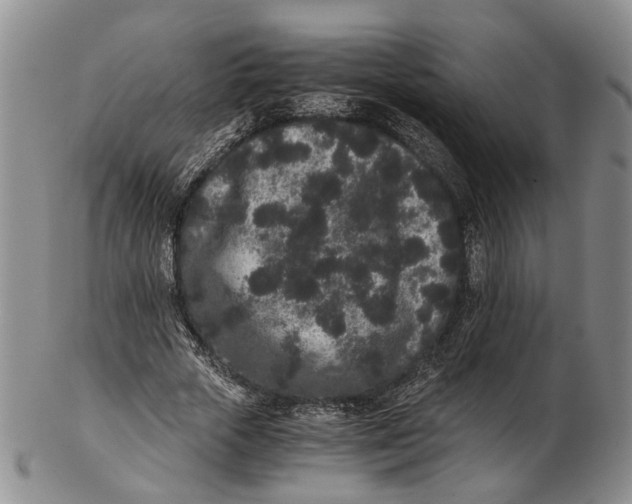 X0000102800729200809081111