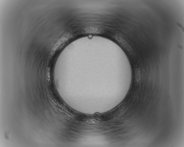 X0000102800731200809081111