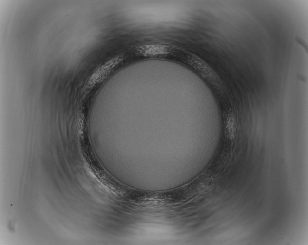 X0000102800732200809081111