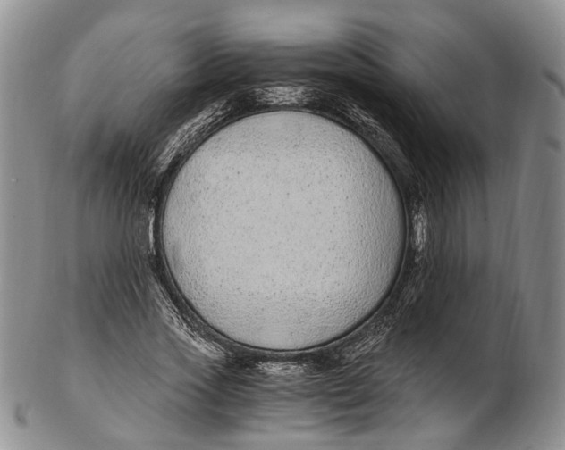 X0000102800733200809081111