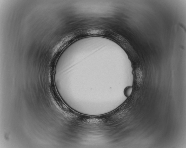 X0000102800734200809081111