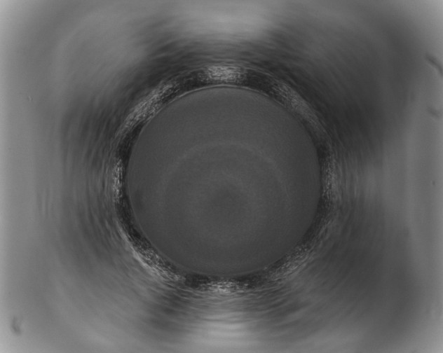 X0000102800736200809081111