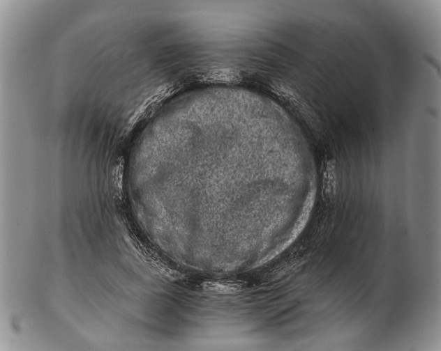 X0000102800739200809081111