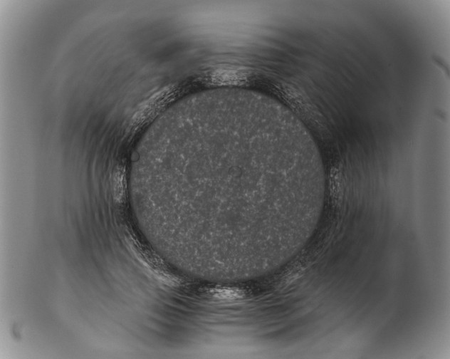 X0000102800741200809081111