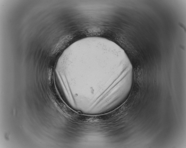 X0000102800742200809081111