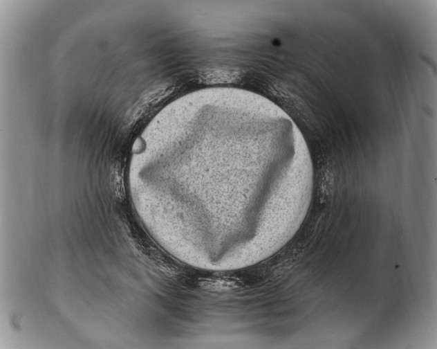 X0000102800743200809081111