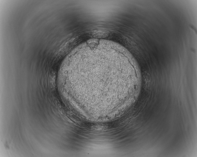 X0000102800745200809081111