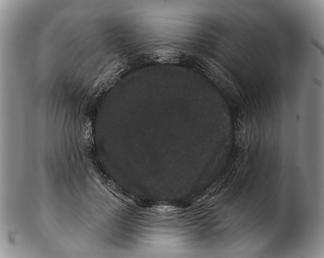 X0000102800748200809081112